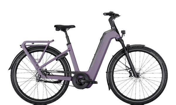 Kalkhoff IMAGE 5+ MOVE PUR2 800WH Lage instap