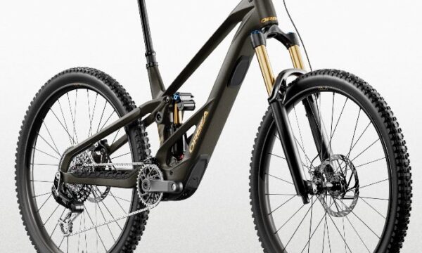 Orbea WILD/M LT M10