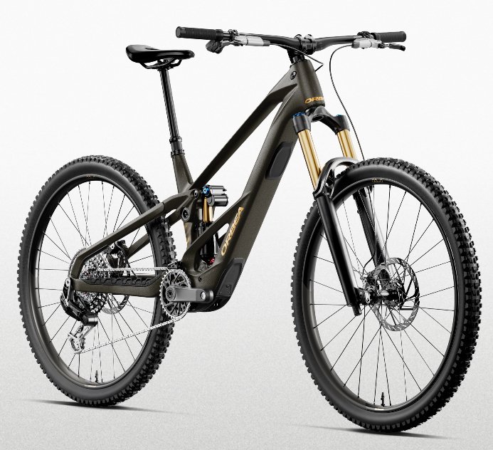 Orbea WILD/M LT M10